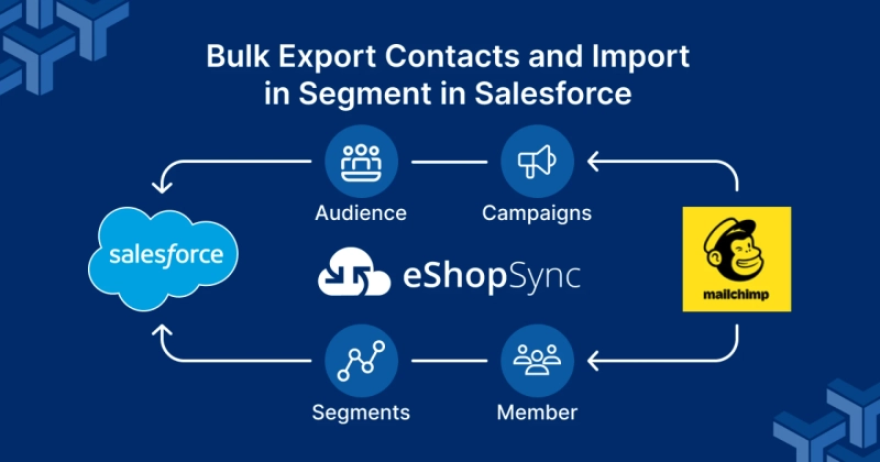 MailChimp Salesforce Integration For Small Businesses