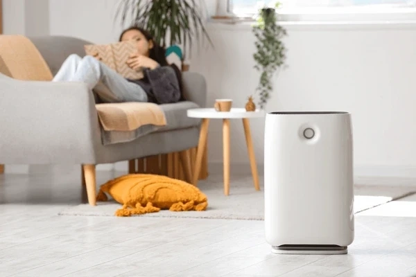The Importance of Air Purification in Australian Winters