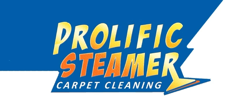 Carpet Cleaning Near Me Silver Spring: How to Identify the Best