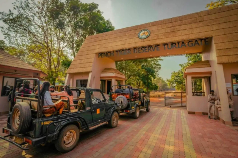 Pench National Park Safari Booking – Complete Guide for a Hassle-Free Jungle Experience