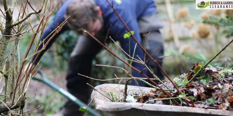 8 Ways to Garden Clearance in Croydon for spring