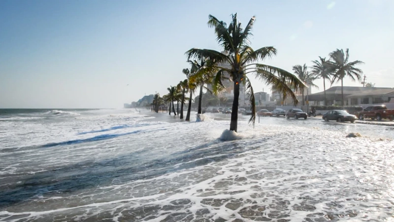 Steps to Reduce the Impact of Rising Sea Level