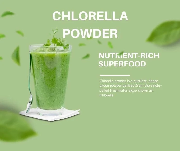 Unlocking the Green Power of Chlorella Powder