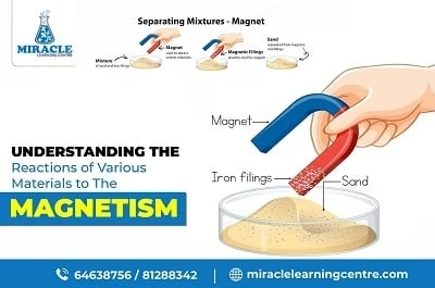 How different materials react to magnetism