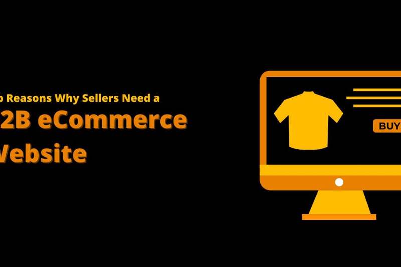 Top Reasons Why Sellers Need a B2B eCommerce Website