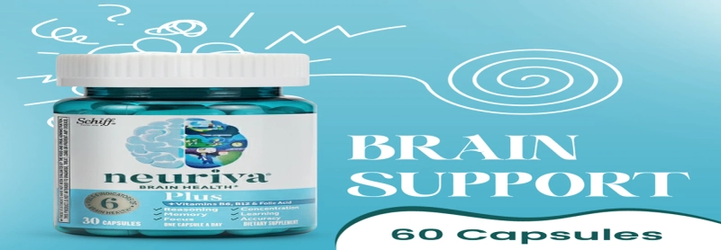 Which Neuriva Plus Ingredients Boost Brain Performance Safely?