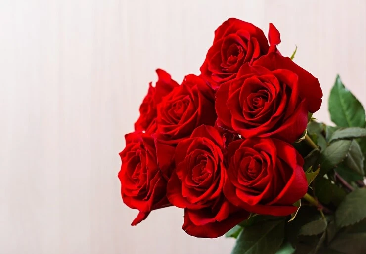 Order Roses Online in Kerala: Express Your Love