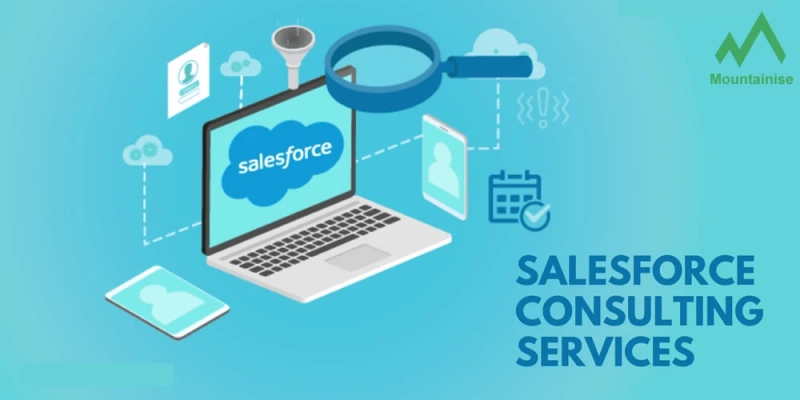 Salesforce Consulting Services for SF Market