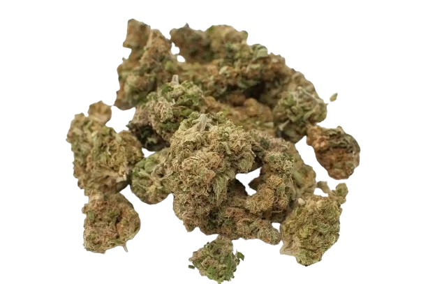 Where can Canadians buy thrasher mushroom strain safely online?