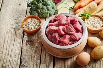 Pet Nutrition: How to pick the best nourishment for your canine or feline