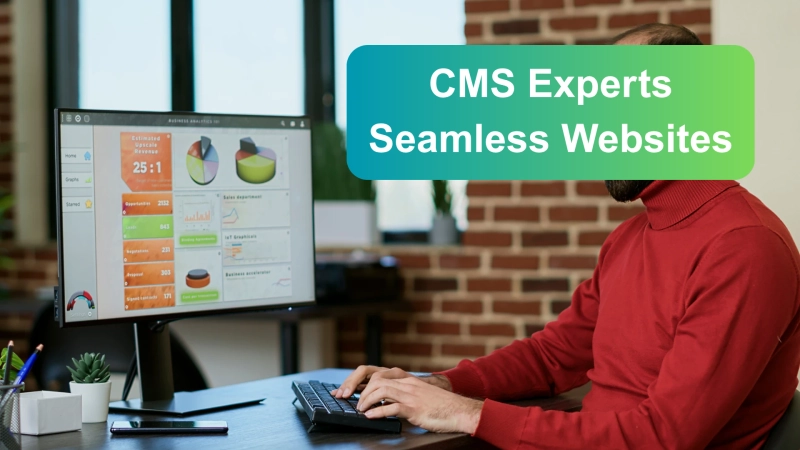 What does a CMS developer do?