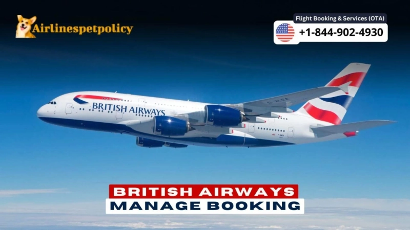 How Do I Manage My British Airways Booking?