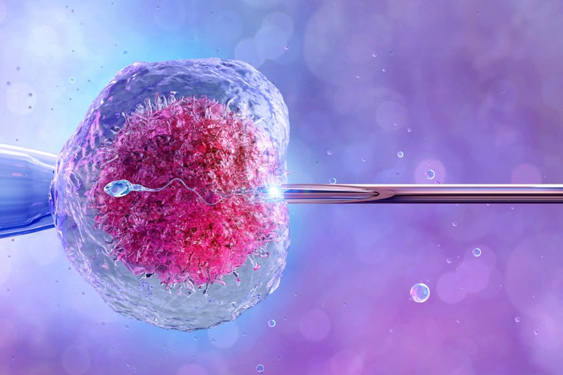 What is IVF?