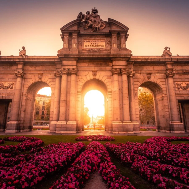 Luxury Culinary Tours: An Elevated Way to Experience the World Through Taste