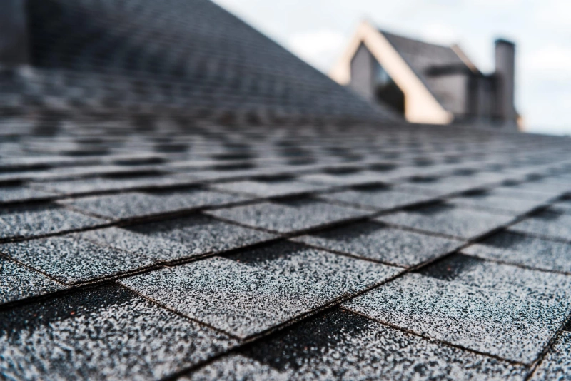Why Skilled Roofers Advocate Consistent Roof Care