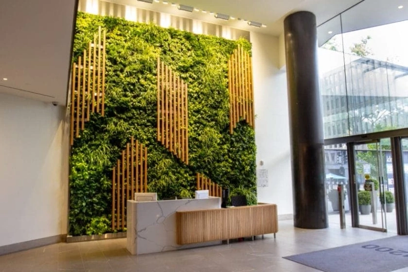 Why Living Plant Walls Are Becoming a Corporate Favorite