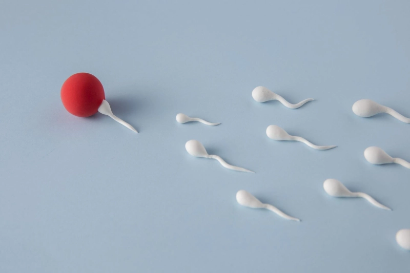 Trying to conceive: Take advice from Experts!