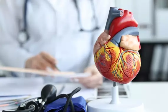 The Top Benefits Of Seeking A Cardiologist In Denver