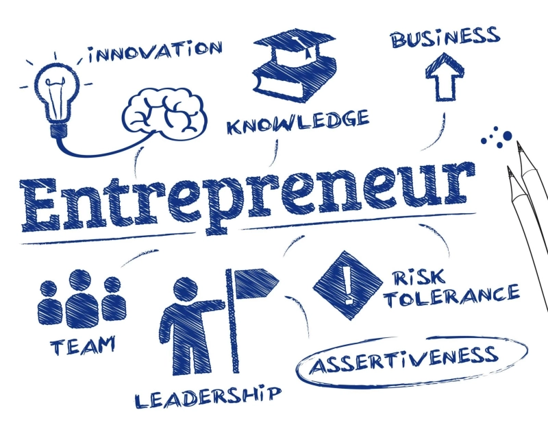 What Does An Entrepreneur Provide