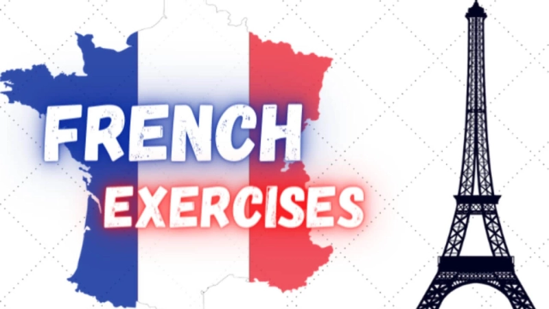 Which Online Platforms Offer the Best French Language Courses?