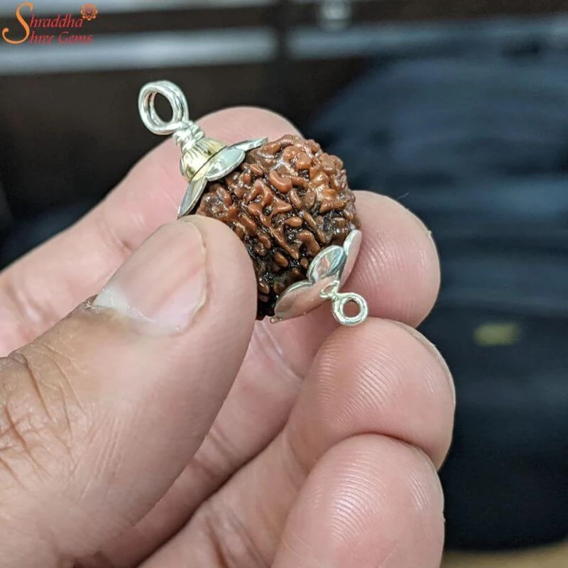 What is 7 Mukhi Rudraksha and how it is different from 8 & 9 Rudraksha beads?