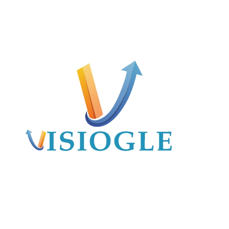 White Label SEO Company in India: How Visiogle Helps Agencies Grow Without the Stress