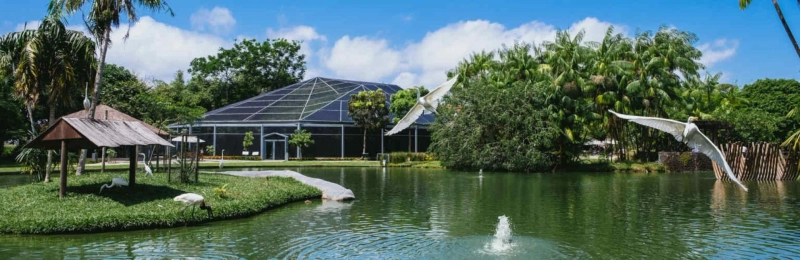Luxury Vacation Rentals: Elevate Your Escape with Exclusive Vacation Homes in Northern California
