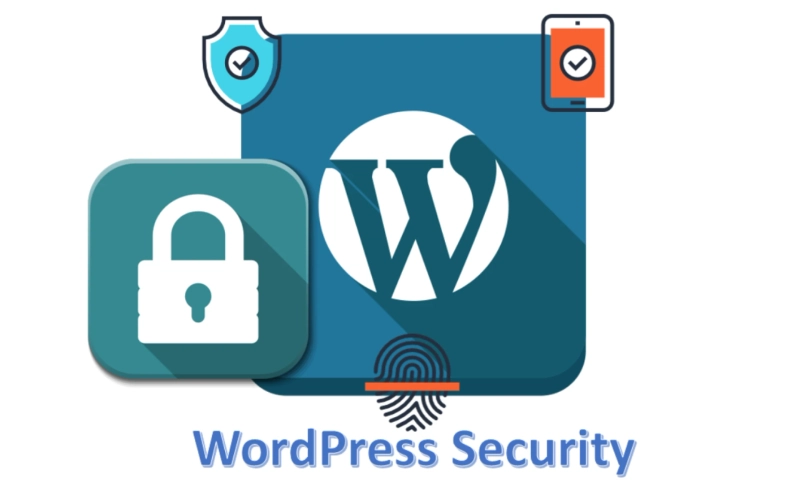 CMS and IT security