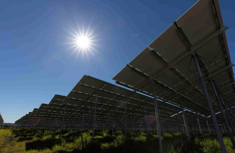 Going Solar on the Sunshine Coast - Halcol Energy