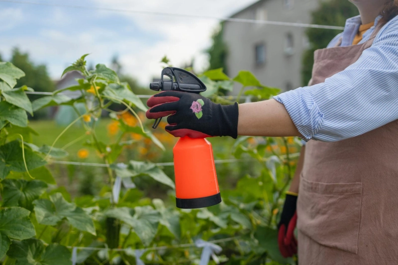 Smart Spider & Pest Solutions for Houston Homes