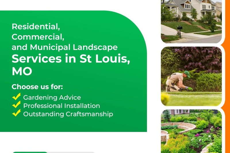 Beginner's Guide to Lawn Care