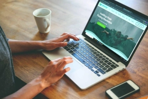Digital Healing: The Rise of Online Depression Therapy