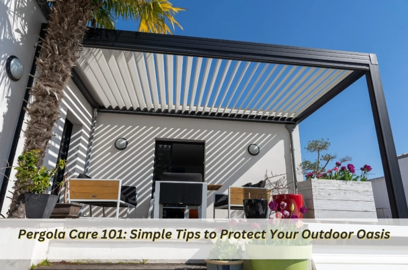 Pergola Care 101: Simple Tips to Protect Your Outdoor Oasis