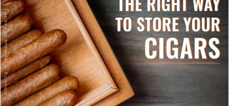How to Store Cigars in a Humidor