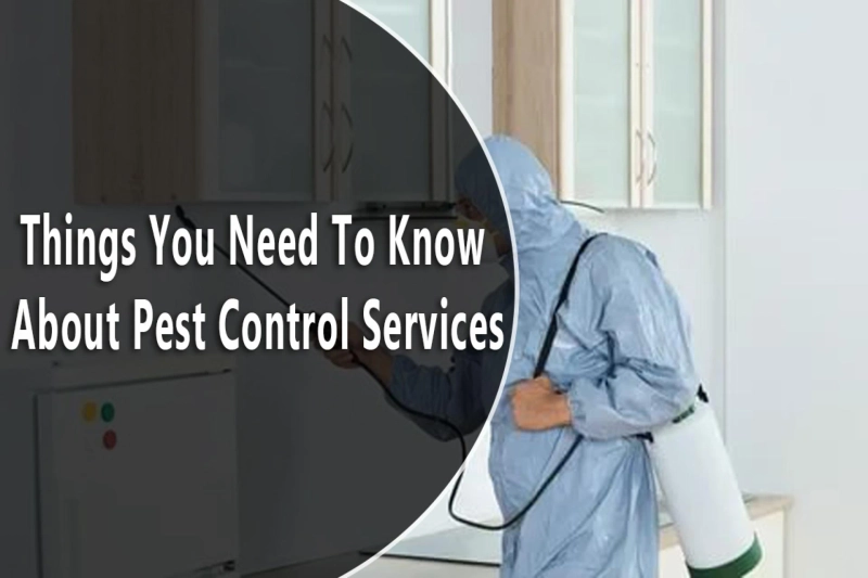 Things You Need To Know About Pest Control Services