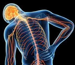 Muscle Pain - Causes, Types & Best Treatment