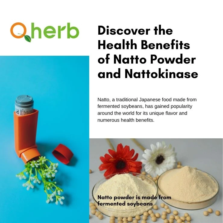 Discover the Health Benefits of Natto Powder and Nattokinase: The Powerful Duo for Cardiovascular and Digestive Health