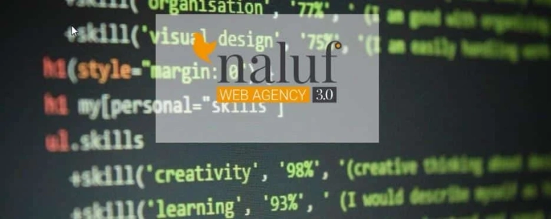 Crafting Custom Websites for Brescia's Unique Business Landscape