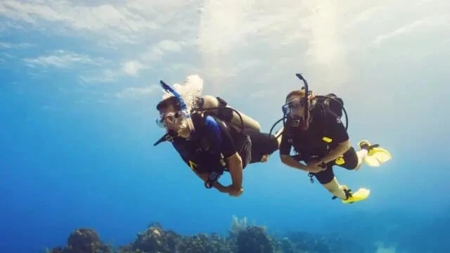 Scuba Diving Gear Guide: Must-Have Accessories