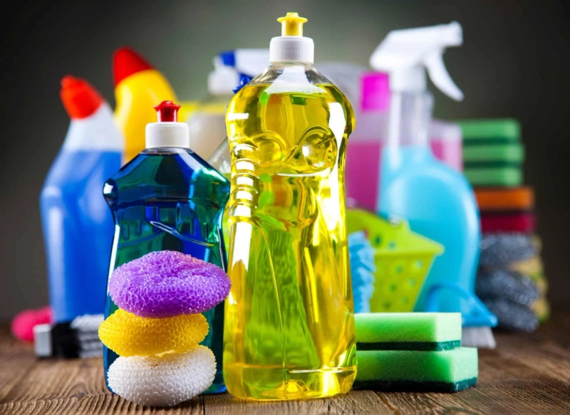 Household Insecticides Market Analysis, Size, Industry Share, Growth, and Report 2024-2032