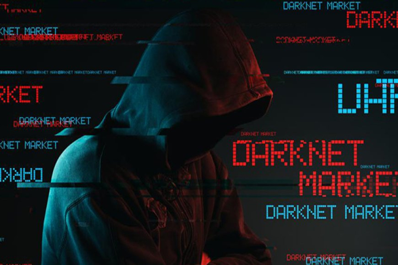 Savastan0.cc: A Window into the Dark Web's Illicit Trade
