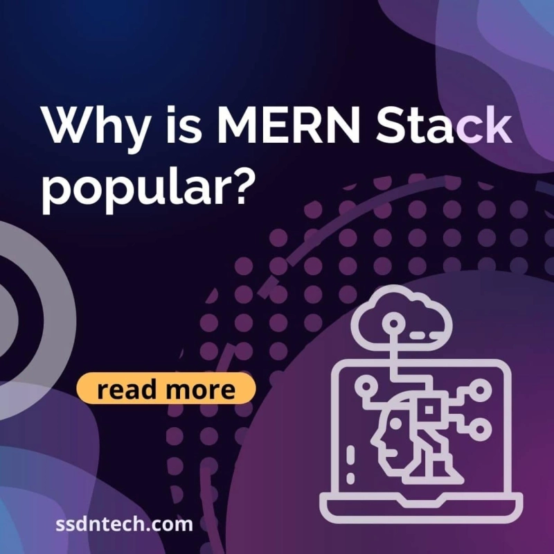 Why is MERN Stack popular?