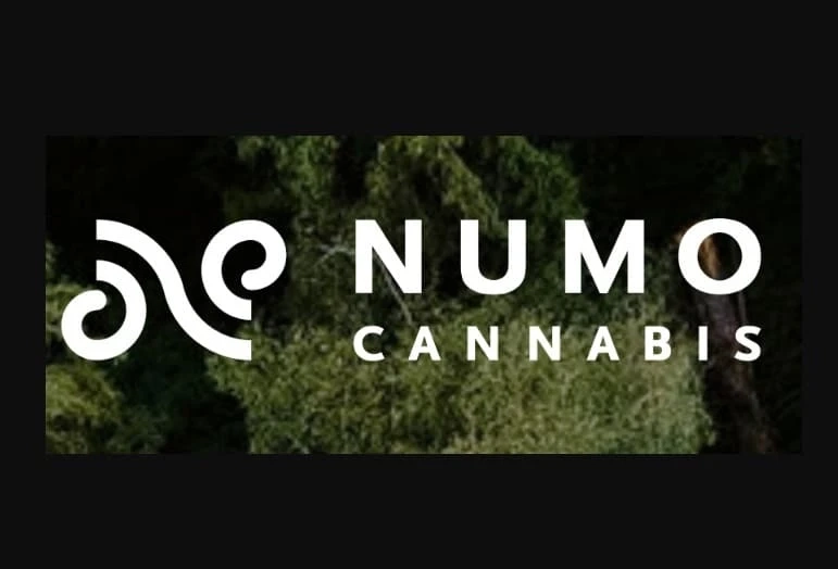 Can you tell the difference amongst cannabis and hemp plants?