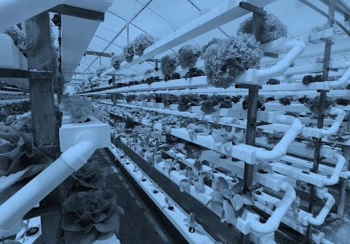 Vertical Farming Market 2021-2026 | In-Depth Research on Industry Trends