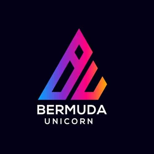 Bermuda Unicorn: Leading the Charge as the Largest NFT Marketplace in the USA