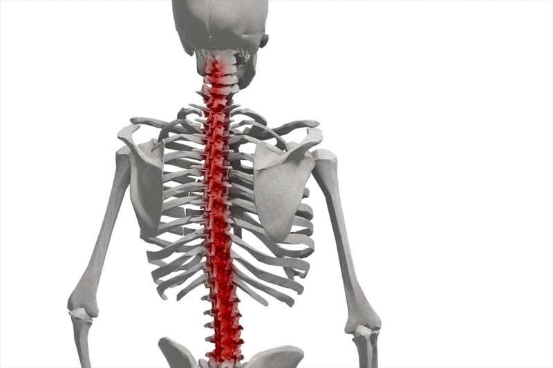 What is an acute spinal cord injury?