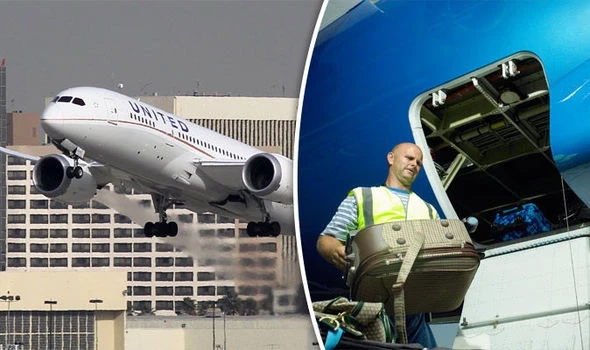 United Airlines Baggage Policy: A Comparison of Business Class vs Economy Class