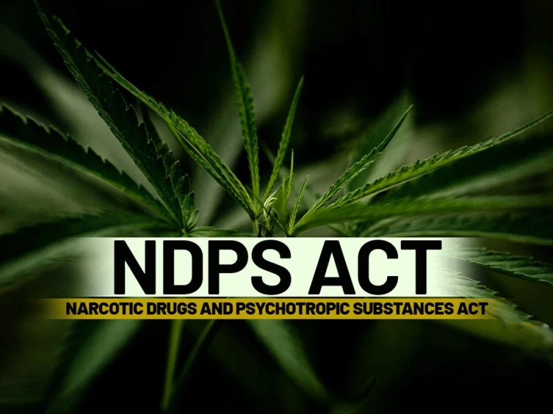 How Expert NCB Lawyers Defend False Narcotics Allegations Effectively