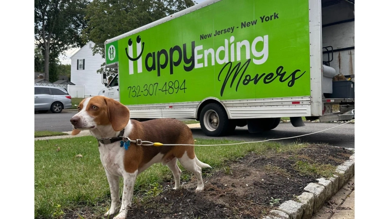 Why Are Same-Day Movers in New Jersey in Such High Demand?