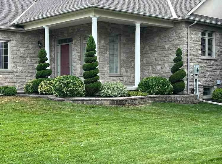 Revive Your Outdoors with Professional Lawn Care, Tree Trimming & Shrub Services
